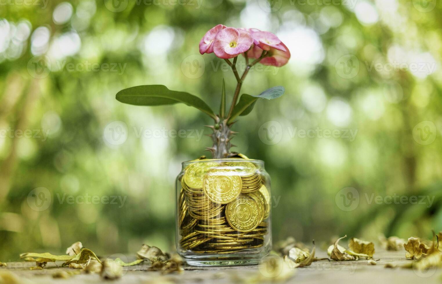 albero con fiori che crescono su salvadanaio di vetro da una pila di monete d'oro con sfondo sfocato foto