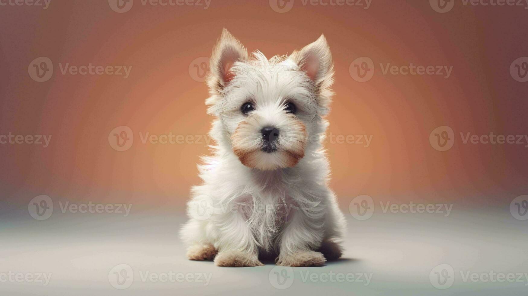 adorabile cane nel sereno minimalista ambientazione foto