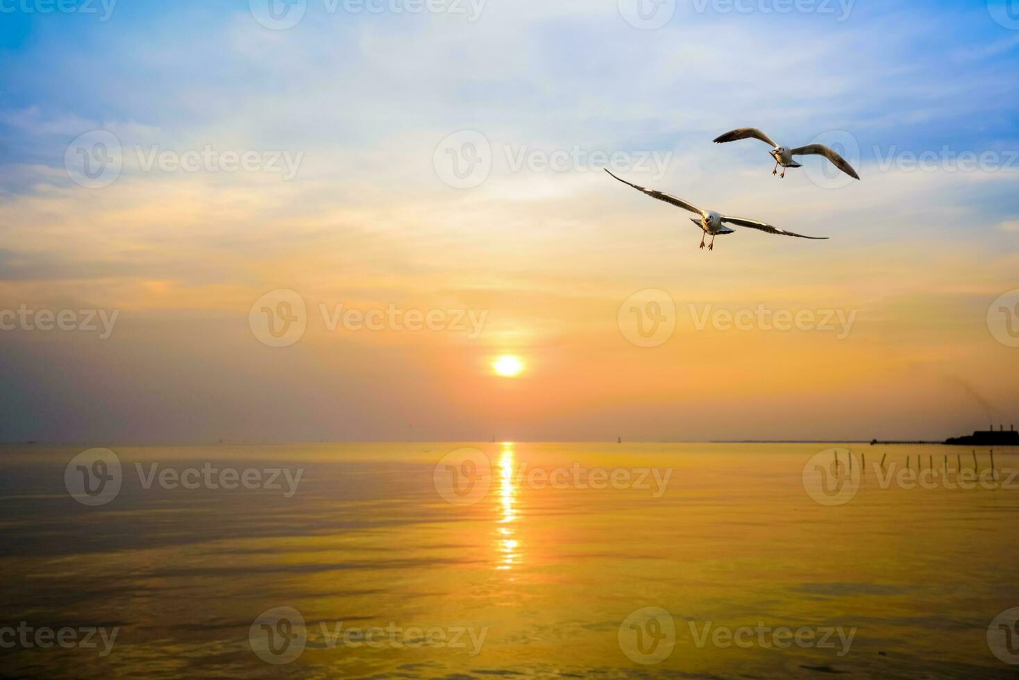 paio di gabbiani nel cielo a tramonto nel scoppio pu, Tailandia foto