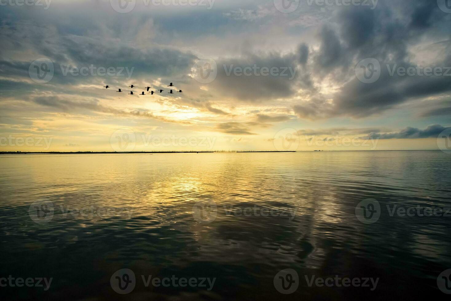 uccelli volante durante il Alba al di sopra di songkhla lago, Tailandia foto