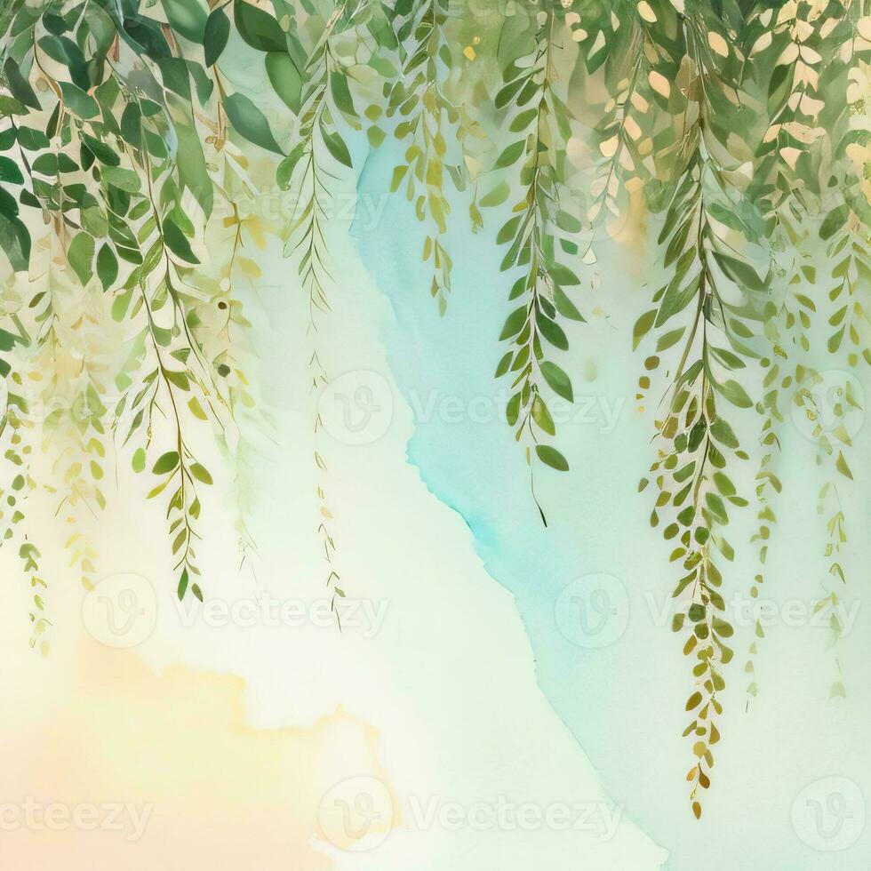 lesso acquerello eucalipto sfondo foto
