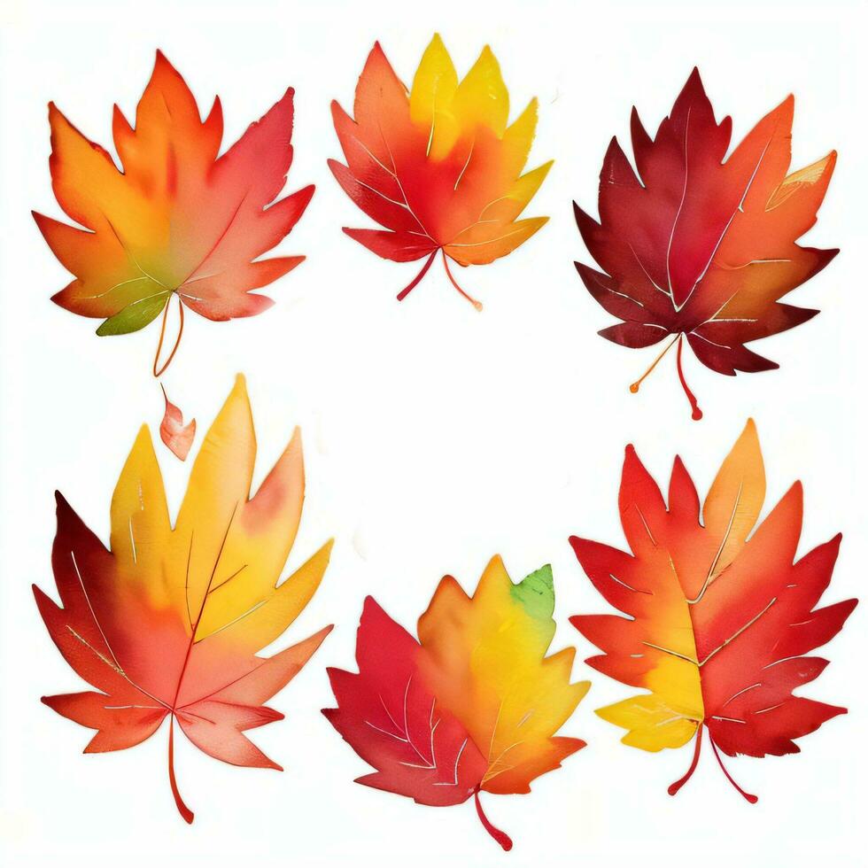 acquerello autunno le foglie clipart foto