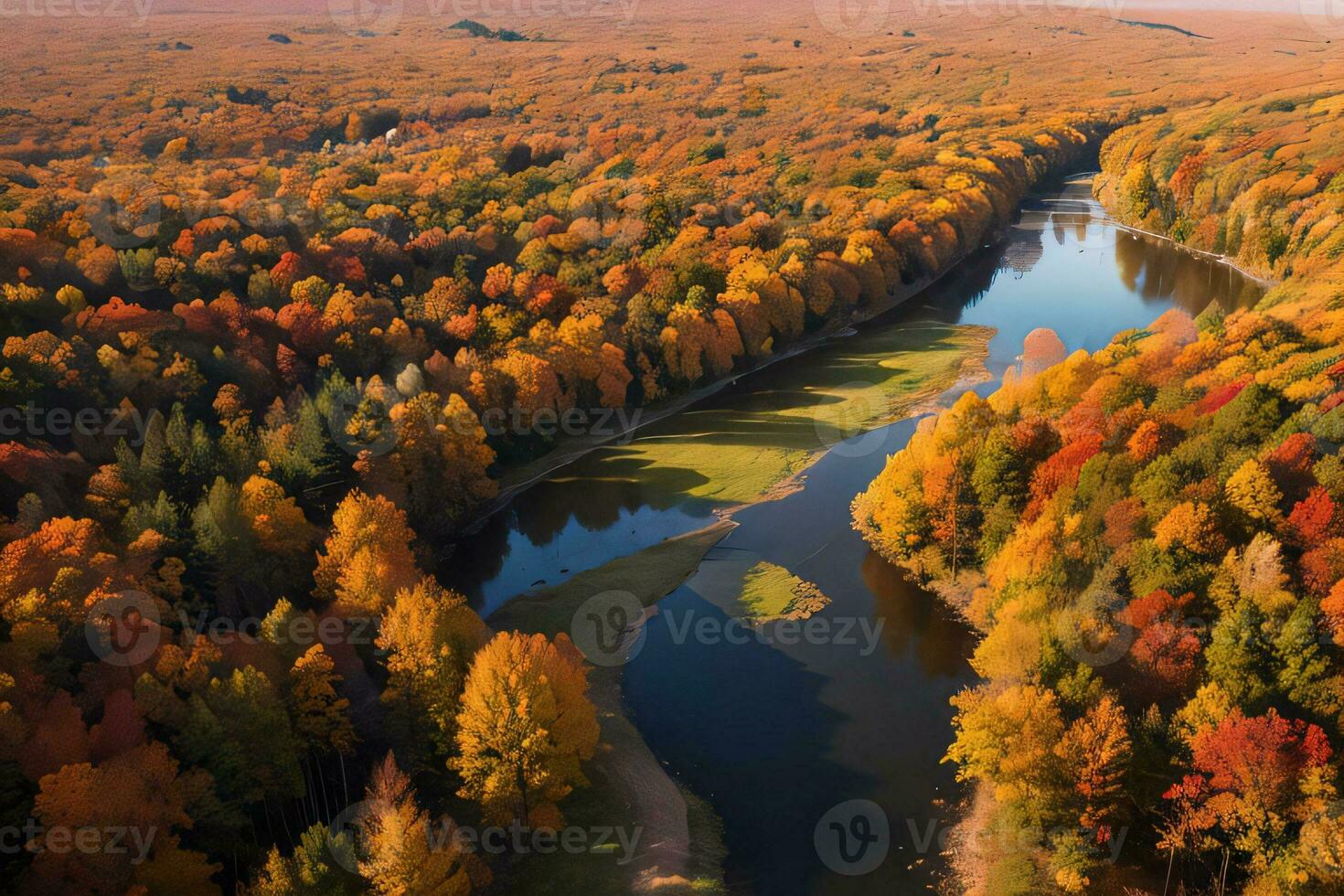 foto di il autunno foresta fuco Visualizza