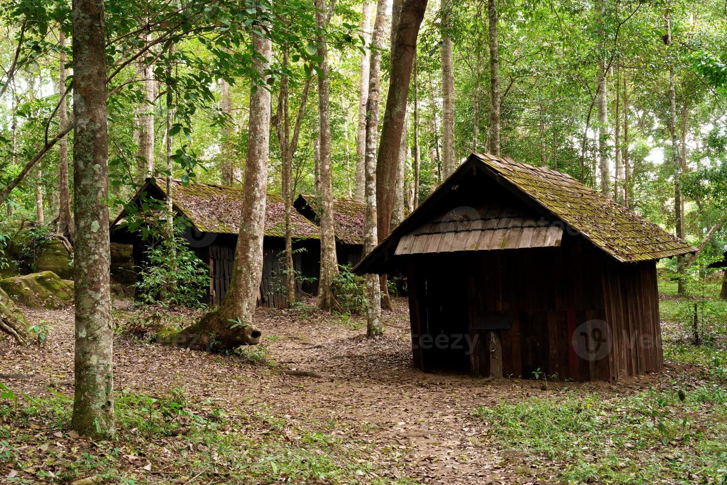 casa di legno nella foresta foto