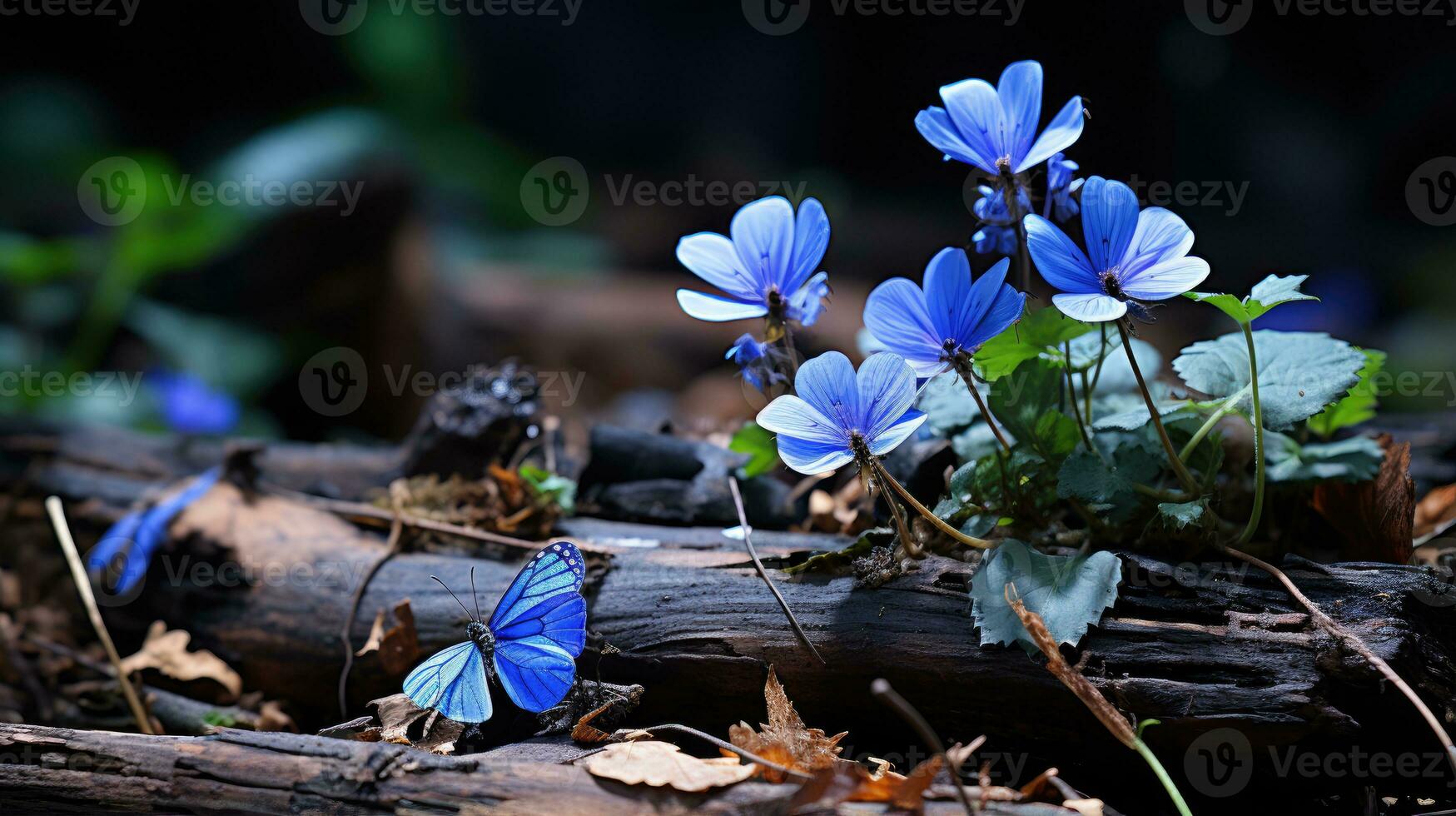 solitario blu fiore foresta tranquillo, calmo paesaggio la libertà scena bellissimo natura sfondo schermo foto