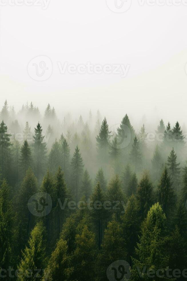 aereo Visualizza foresta autunno tranquillo, calmo paesaggio la libertà scena bellissimo natura sfondo foto