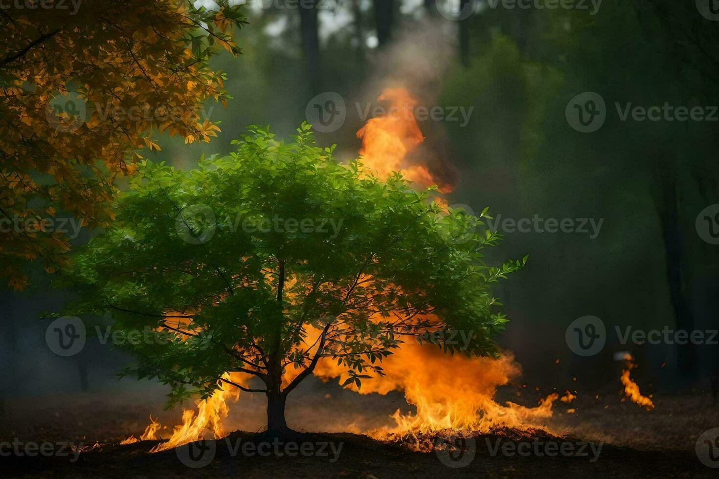 un' albero è ardente nel il foresta. ai-generato foto