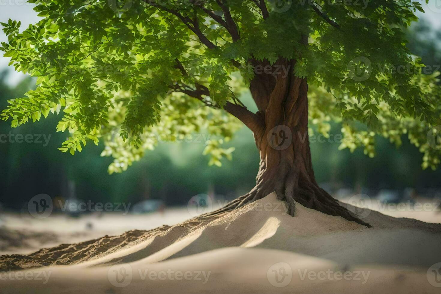 un' albero è in crescita su di il sabbia nel il deserto. ai-generato foto