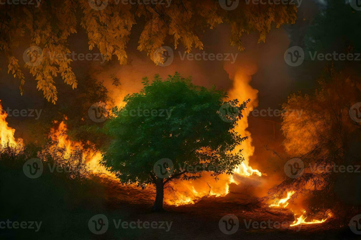 un' albero è ardente nel il foresta. ai-generato foto