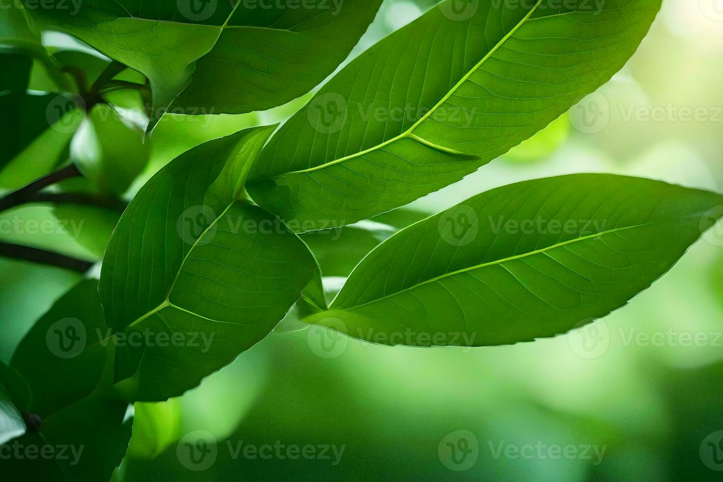 verde le foglie su un' albero con luce del sole splendente attraverso. ai-generato foto