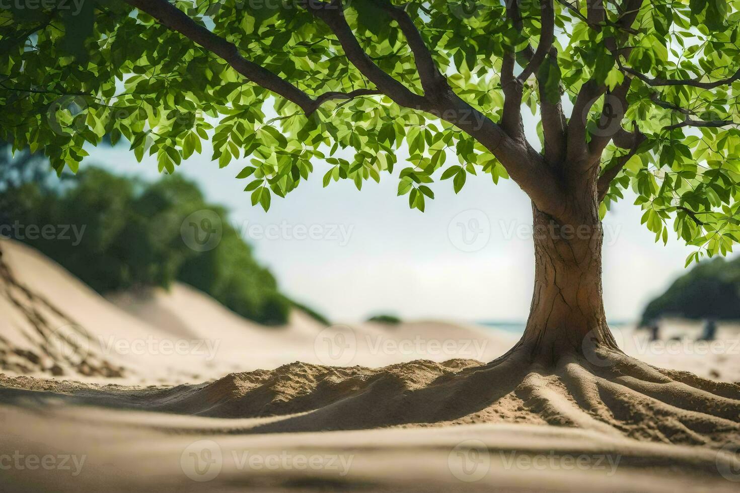 un' albero è in crescita su di il sabbia su un' spiaggia. ai-generato foto