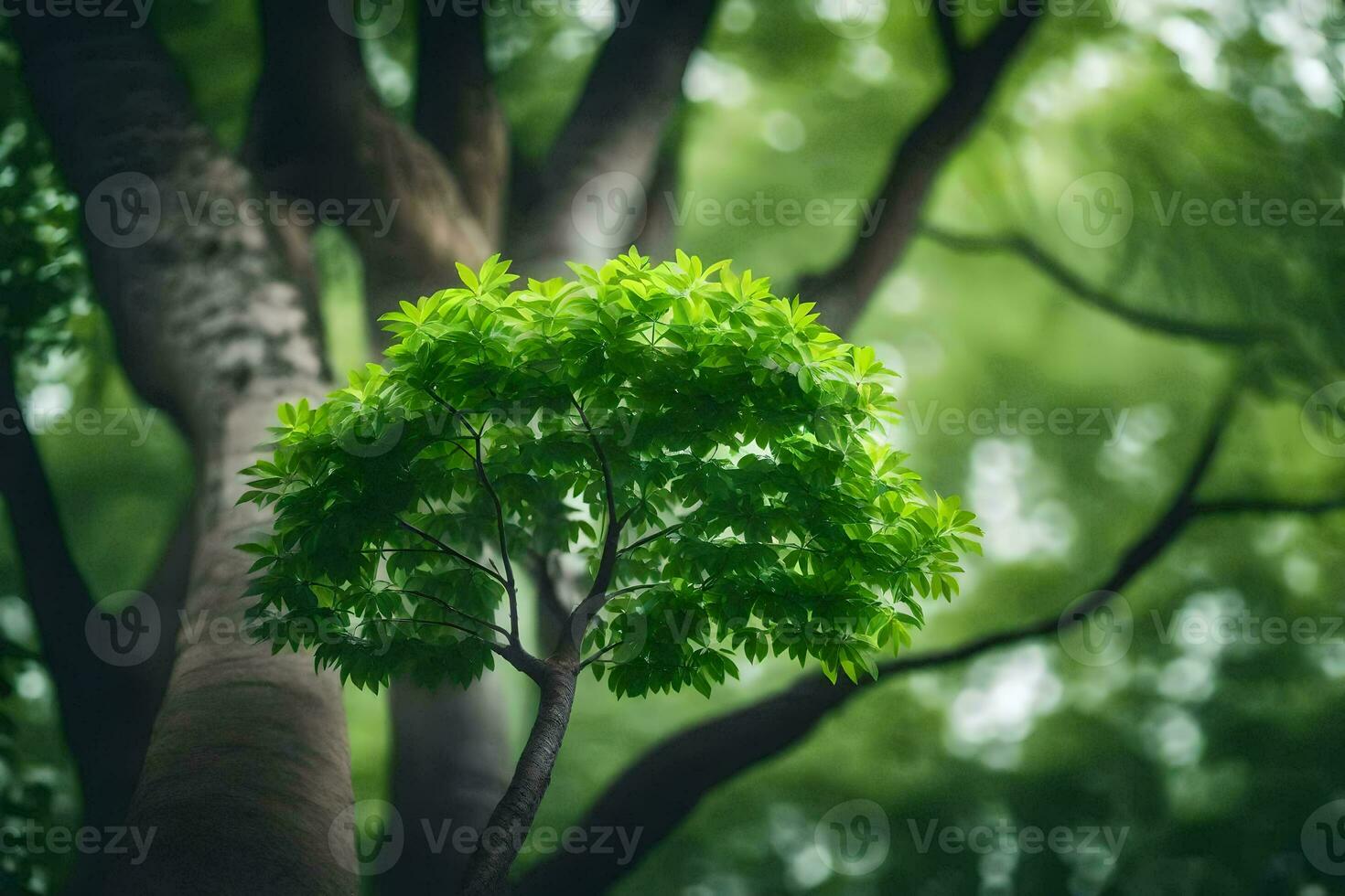 un' albero con verde le foglie nel il sfondo. ai-generato foto