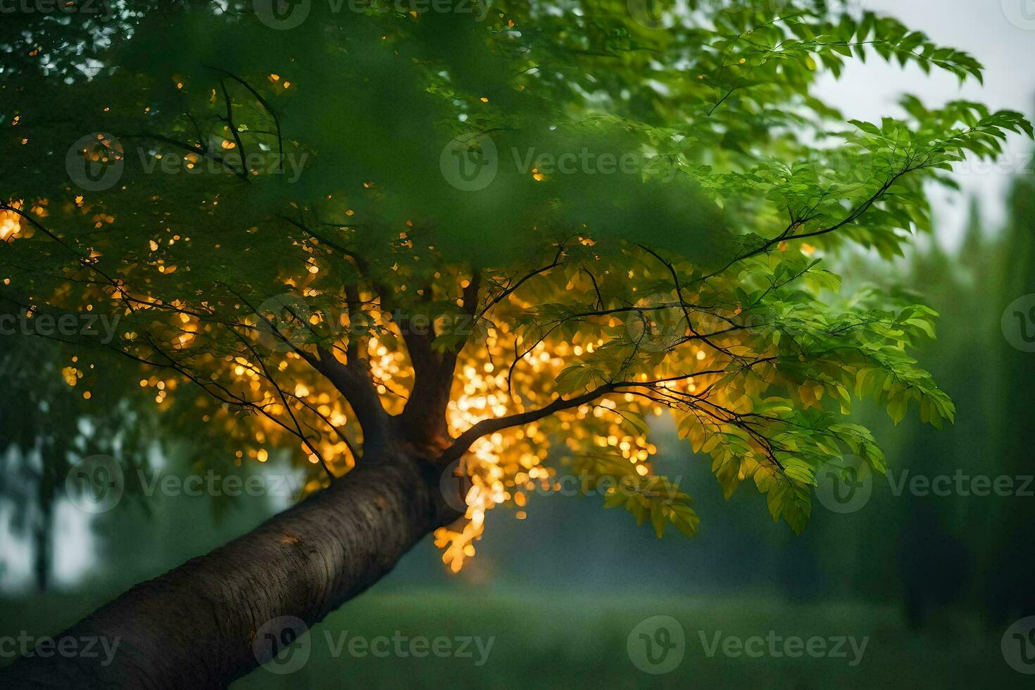 un' albero con luci su esso nel il mezzo di il notte. ai-generato foto