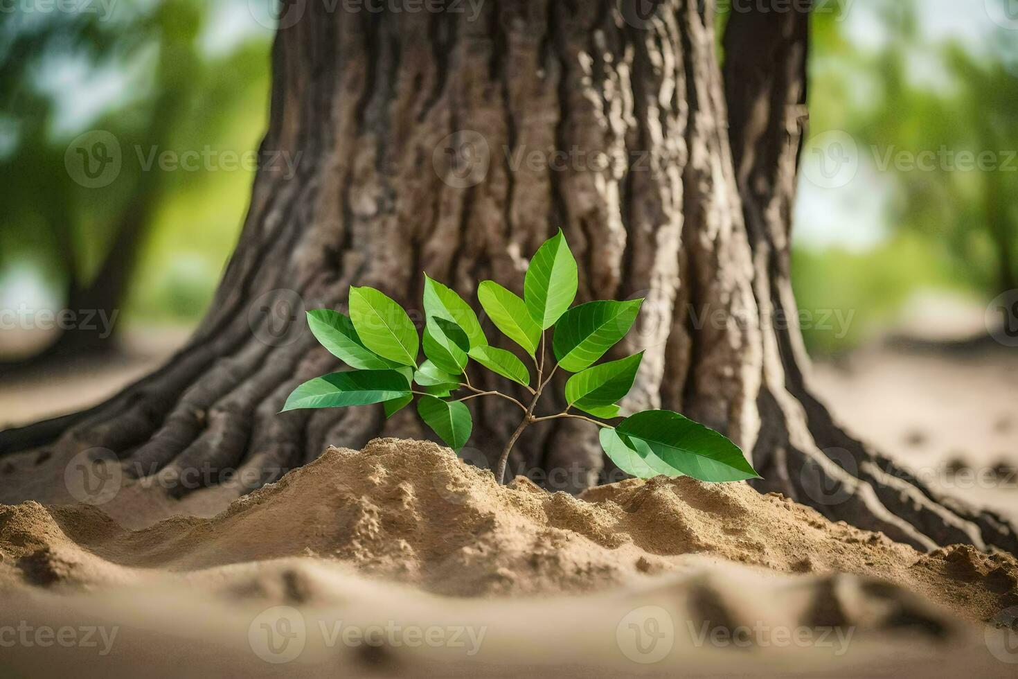 un' piccolo pianta è in crescita su di il terra vicino un' albero. ai-generato foto