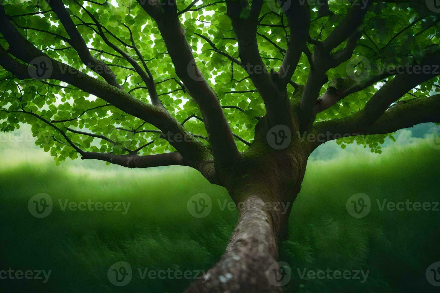 un' albero nel il mezzo di un' campo. ai-generato foto