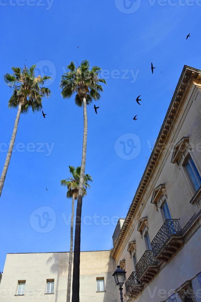 italia, lecce, città con architettura barocca e chiese e resti archeologici. foto