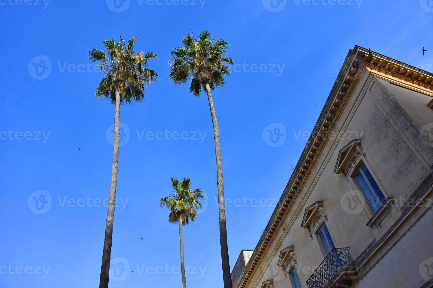 italia, lecce, città con architettura barocca e chiese e resti archeologici. foto