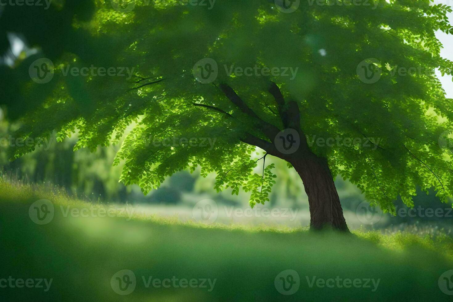 un' albero è nel il mezzo di un' campo. ai-generato foto