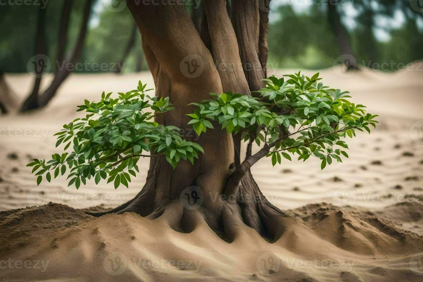 un' albero in crescita su di il sabbia nel il deserto. ai-generato foto