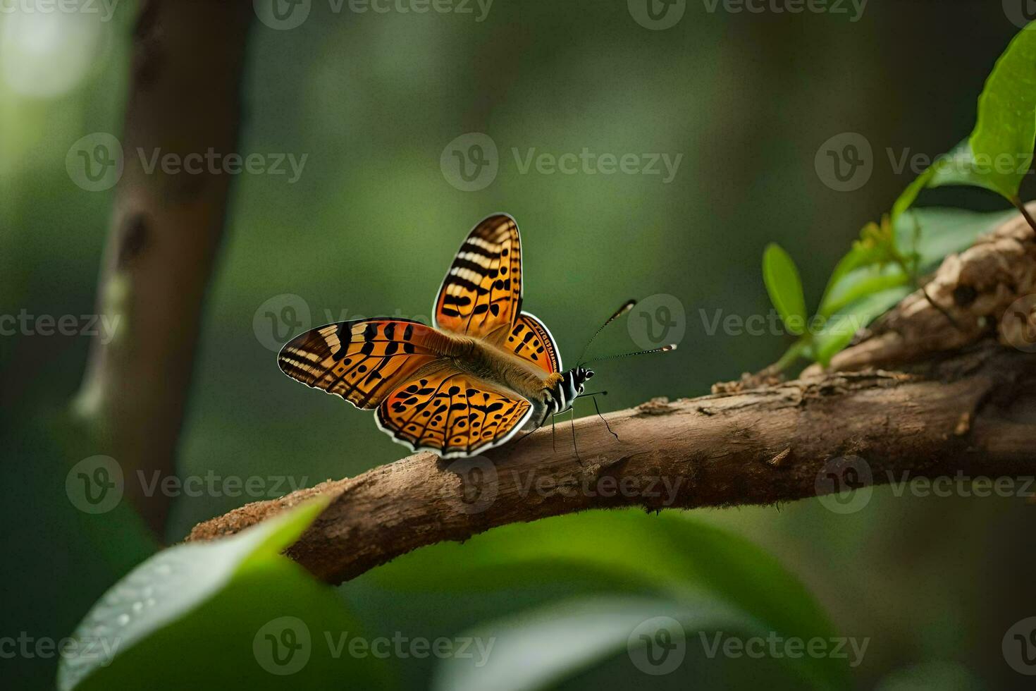 un' farfalla è seduta su un' ramo nel il foresta. ai-generato foto