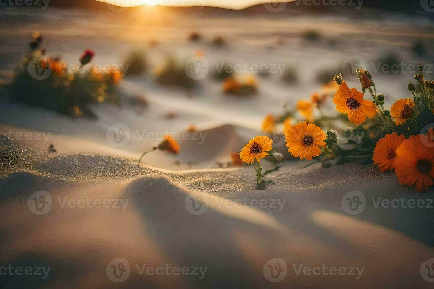 il sole è ambientazione al di sopra di il deserto e fiori siamo in crescita nel il sabbia. ai-generato foto