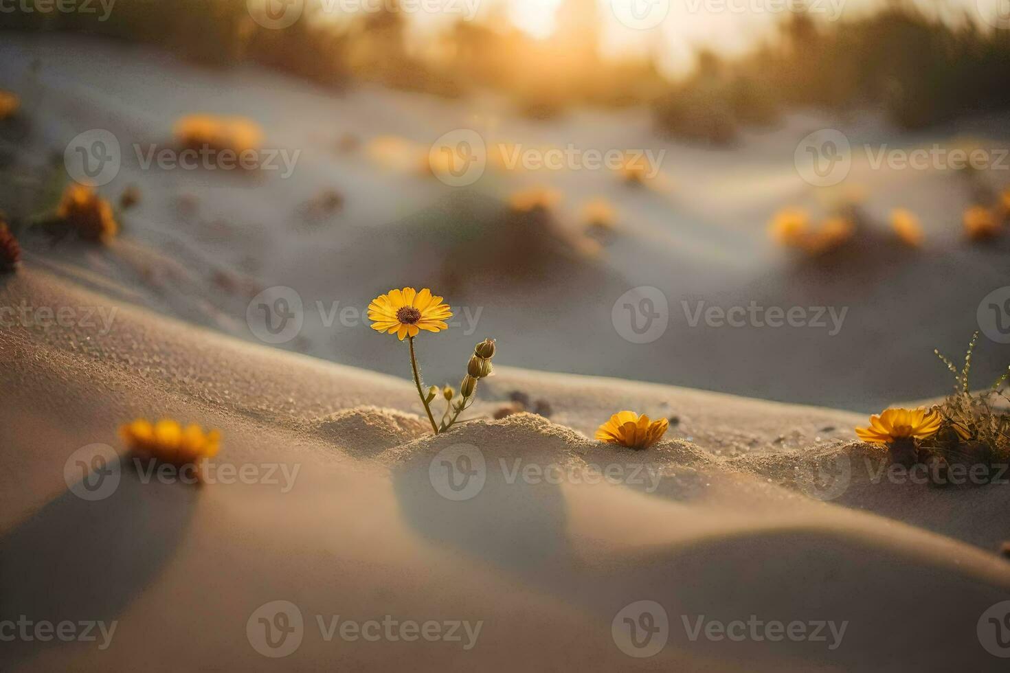 il sole è ambientazione nel il deserto e il fiori siamo in crescita su di il sabbia. ai-generato foto