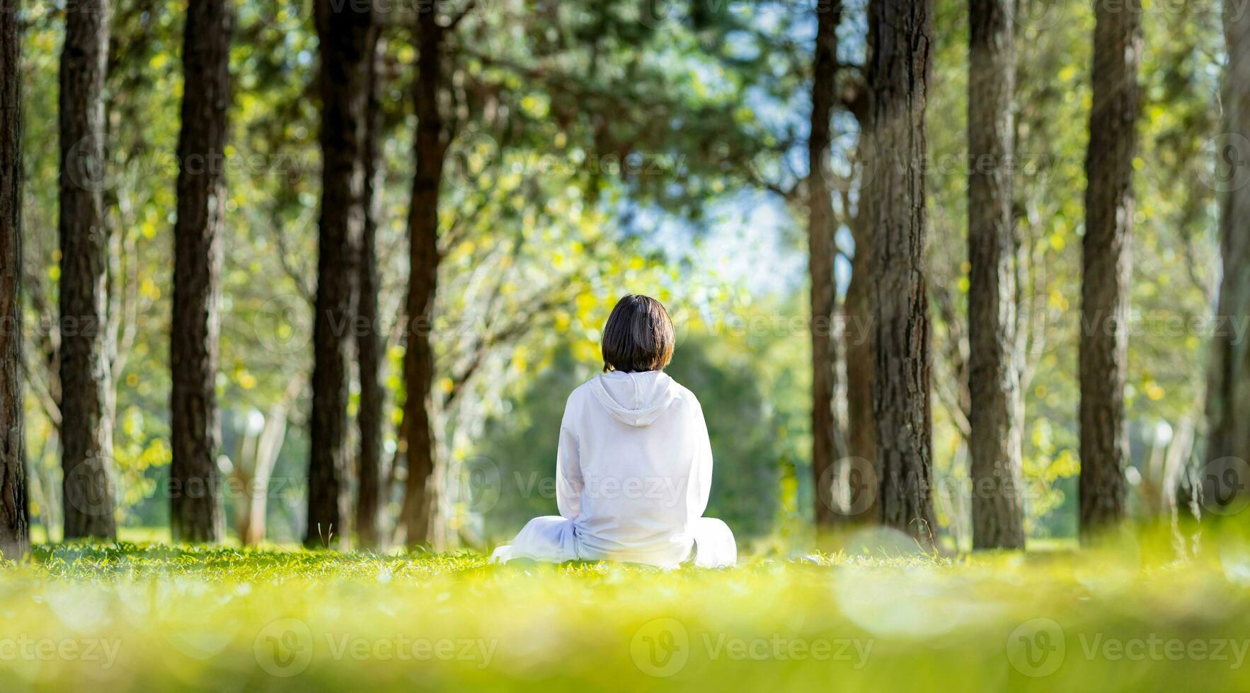donna rilassante praticante meditazione nel il pino foresta per raggiungere felicità a partire dal interno pace saggezza con fascio di sole leggero per salutare mente e anima concetto per salutare mente e anima foto