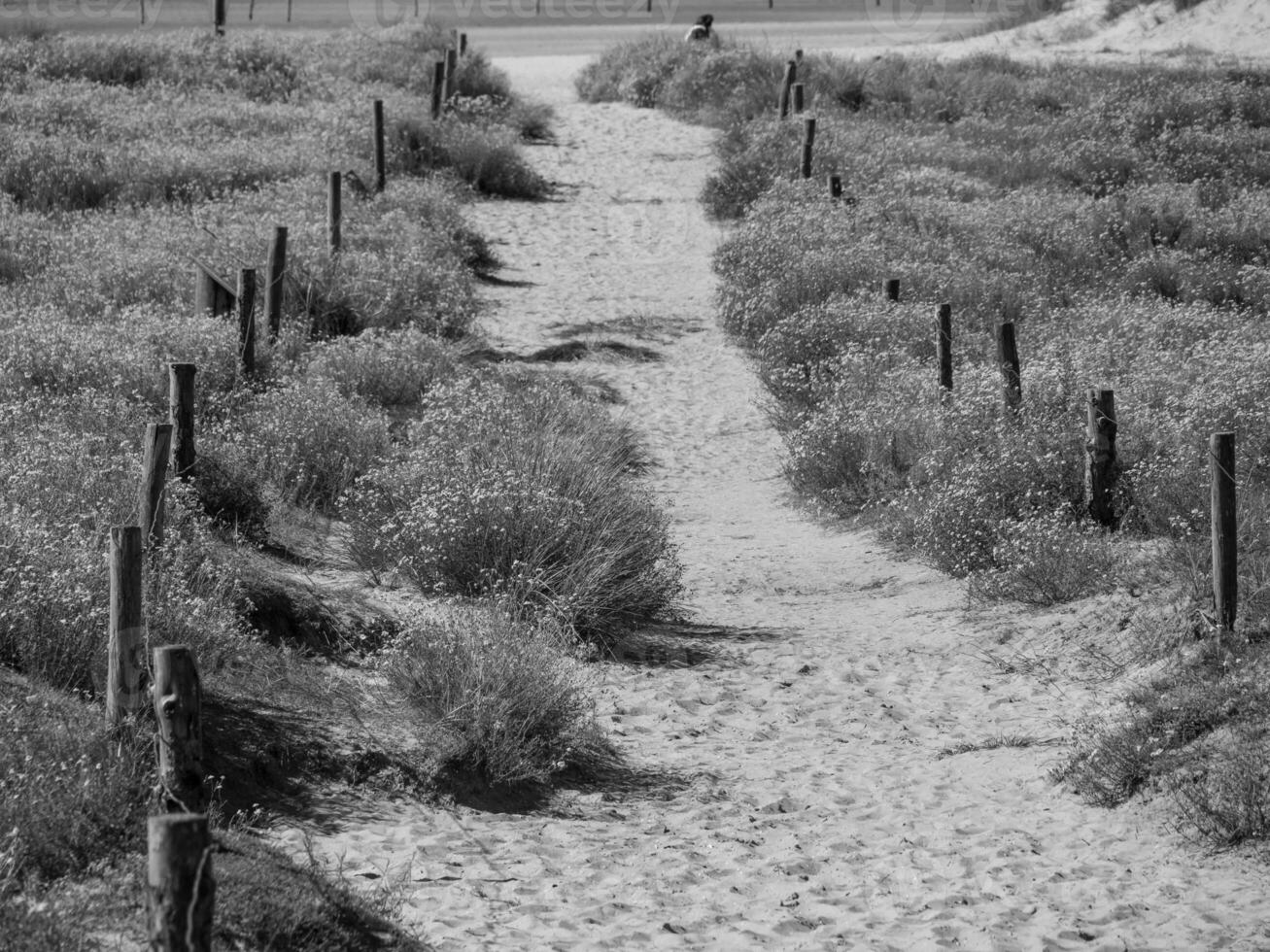 isola di langeoog nel mare del nord foto