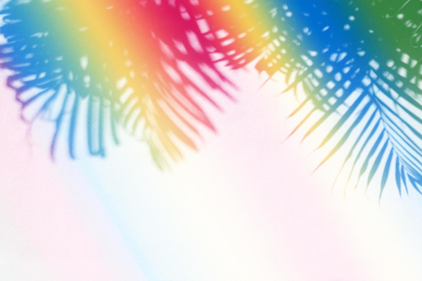 ombra colorata di foglie di palma tropicali su sfondo di parete di carta foto
