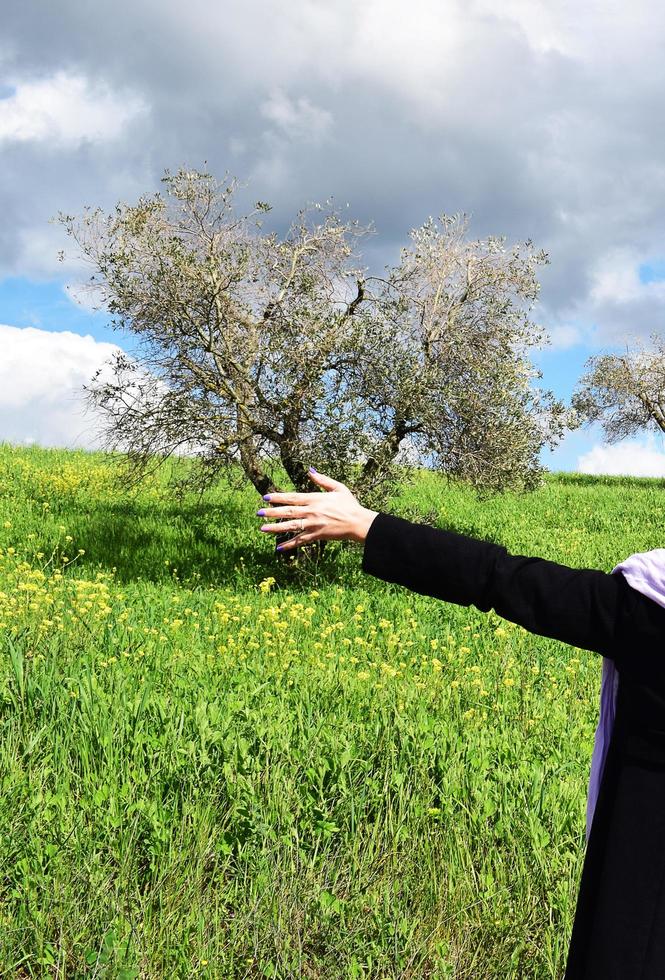 tema campagna toscanatus foto