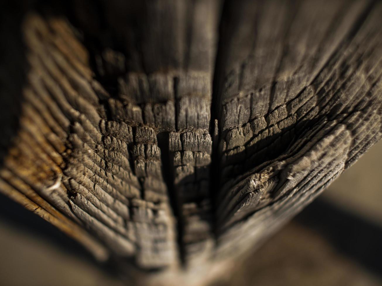 bellissimo sfondo in legno naturale. tronco d'albero secco.struttura di legno foto