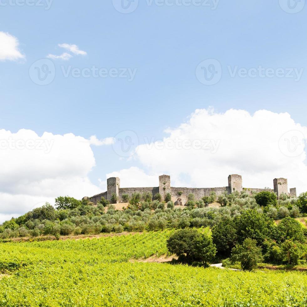 vigneto in toscana foto