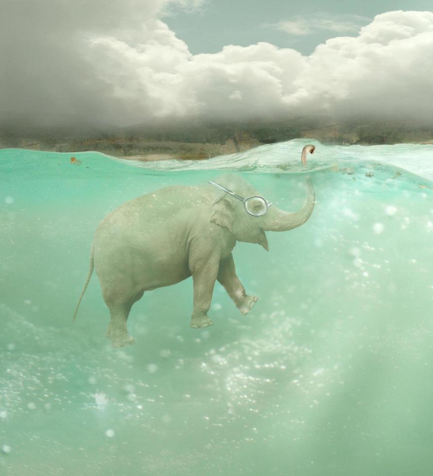 l'elefante sottomarino foto