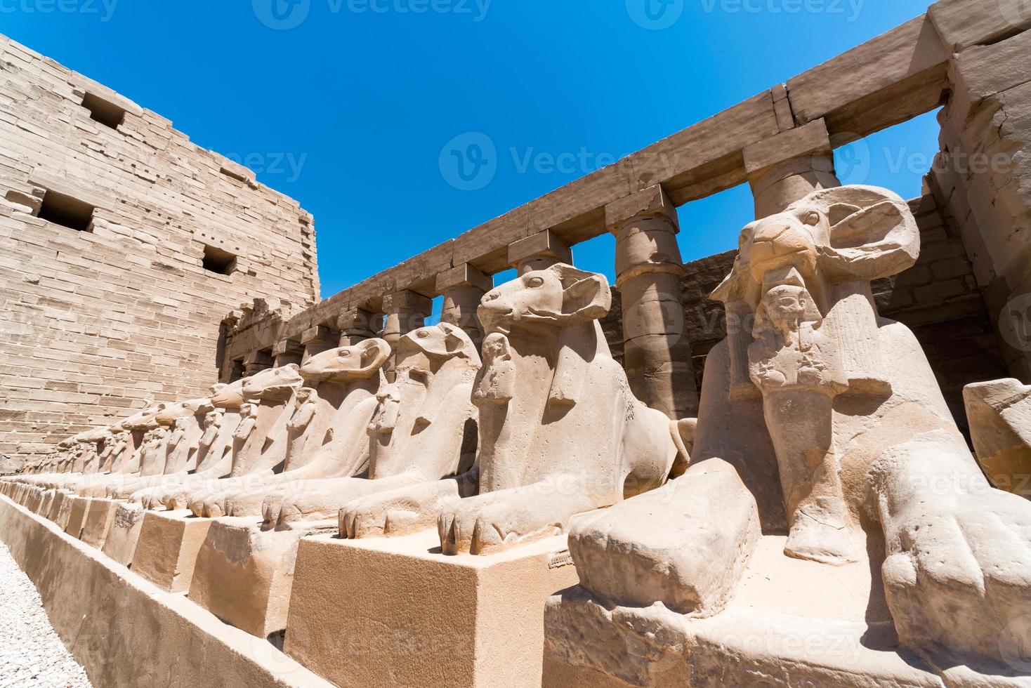 statue antiche di molte pecore nel tempio di karnak a luxur foto