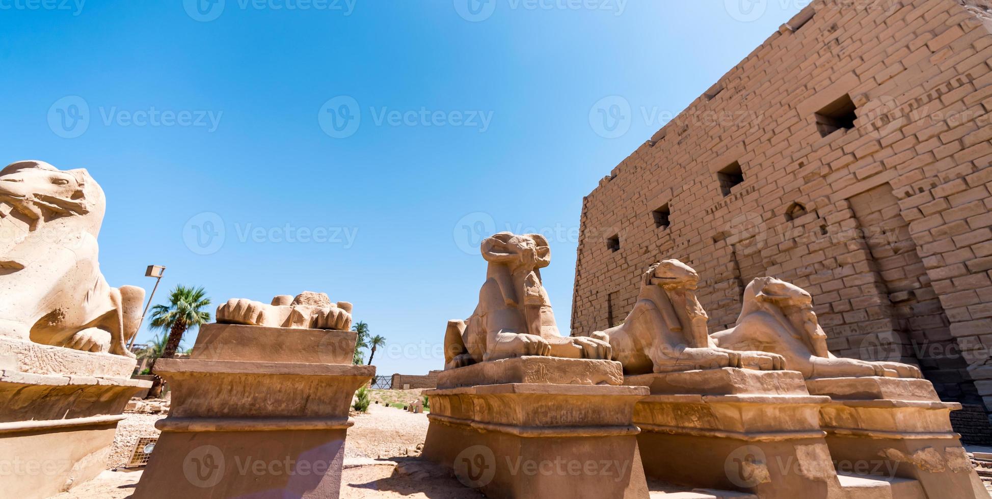 statue antiche di molte pecore nel tempio di karnak a luxur foto