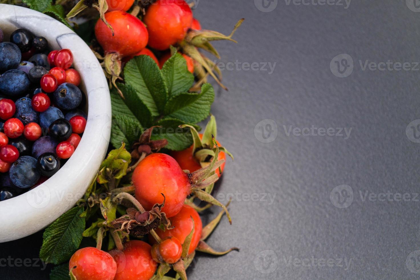 medicina alternativa con erbe farmaceutiche frutti e bacche foto