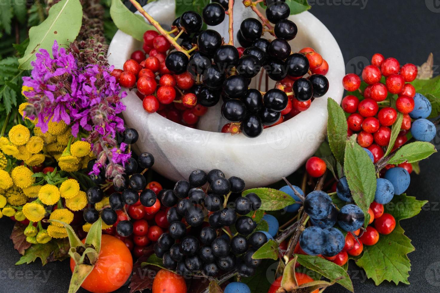 medicina alternativa con erbe farmaceutiche frutti e bacche foto