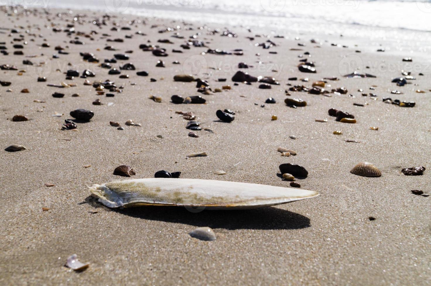 sulla spiaggia di blavand ho danimarca foto