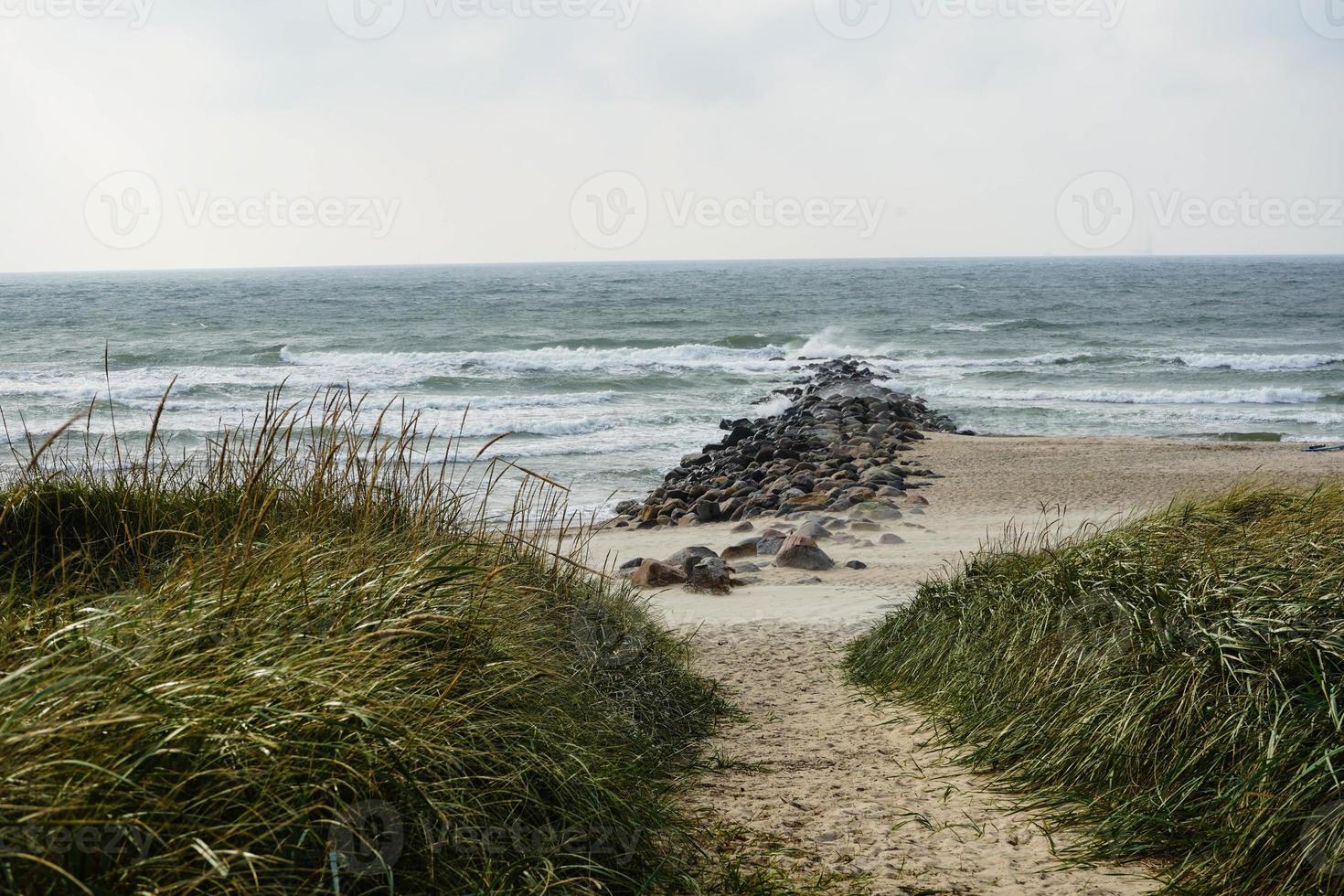 sulla spiaggia di blavand ho danimarca foto