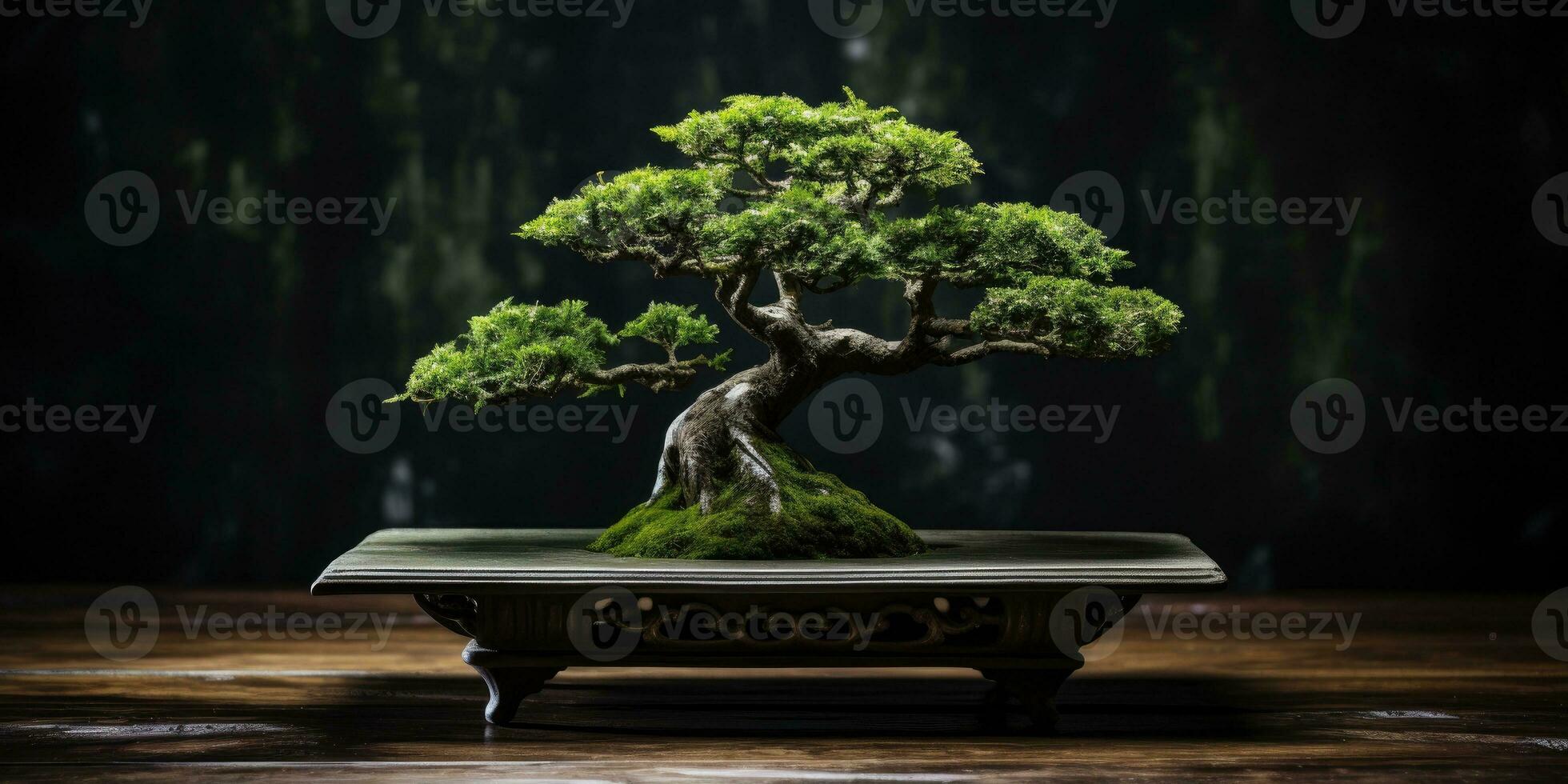 Bonsai albero su un' buio sfondo. minimalismo. generativo ai foto