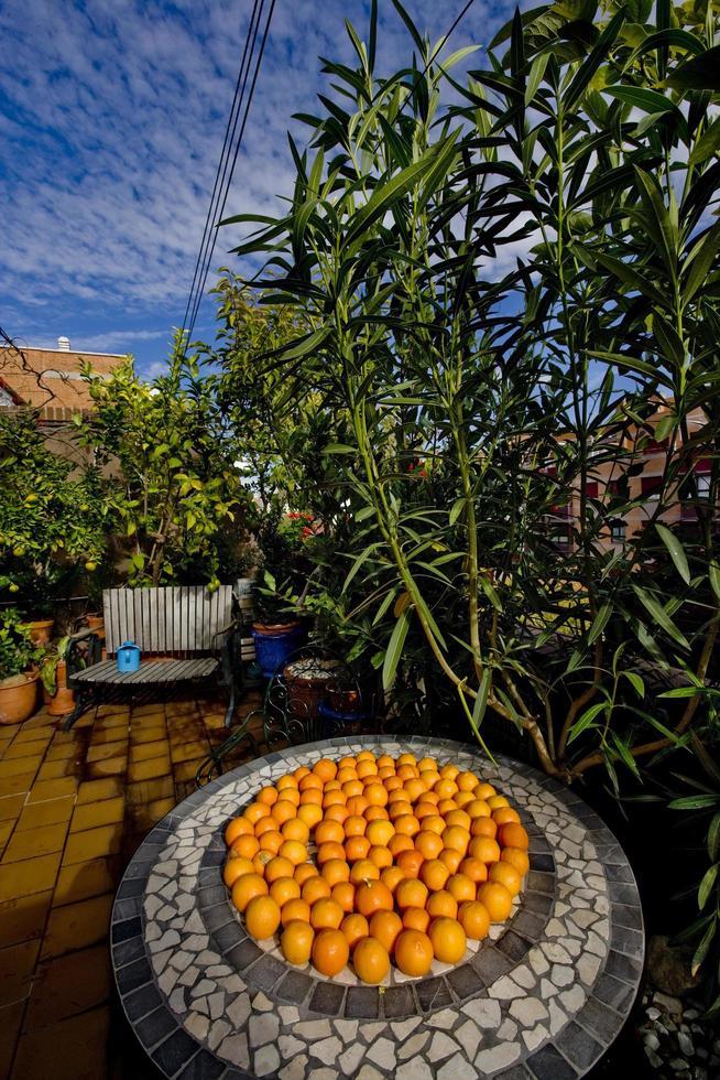 arance sul tavolo da giardino in terrazza foto