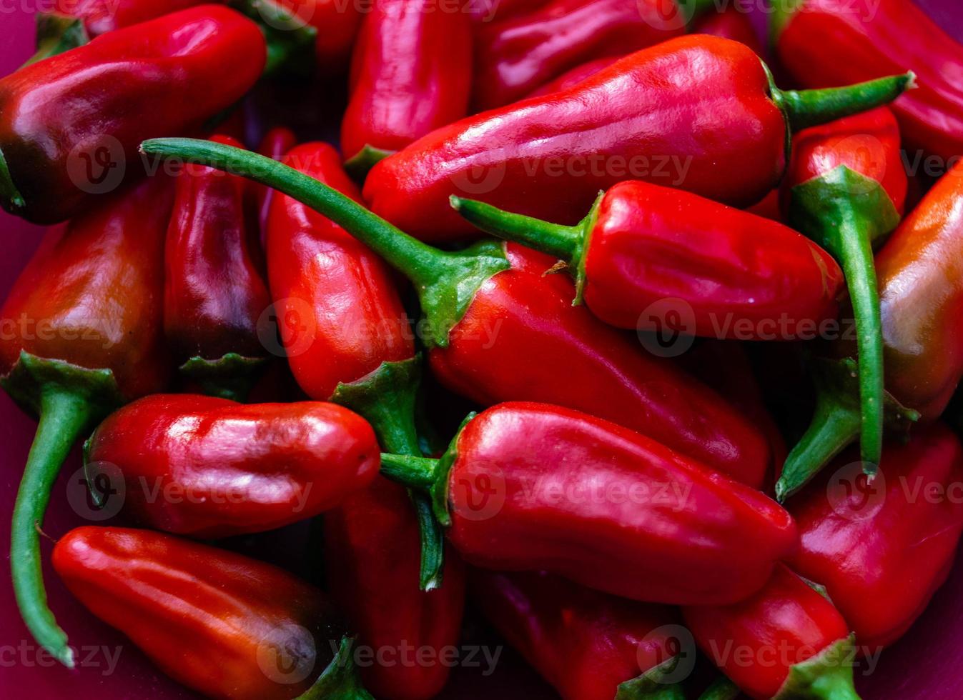 peperoncino rosso verdura piccante foto