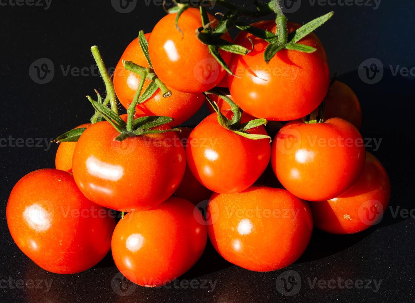 pomodori tondi rossi solanum lycopersicum foto