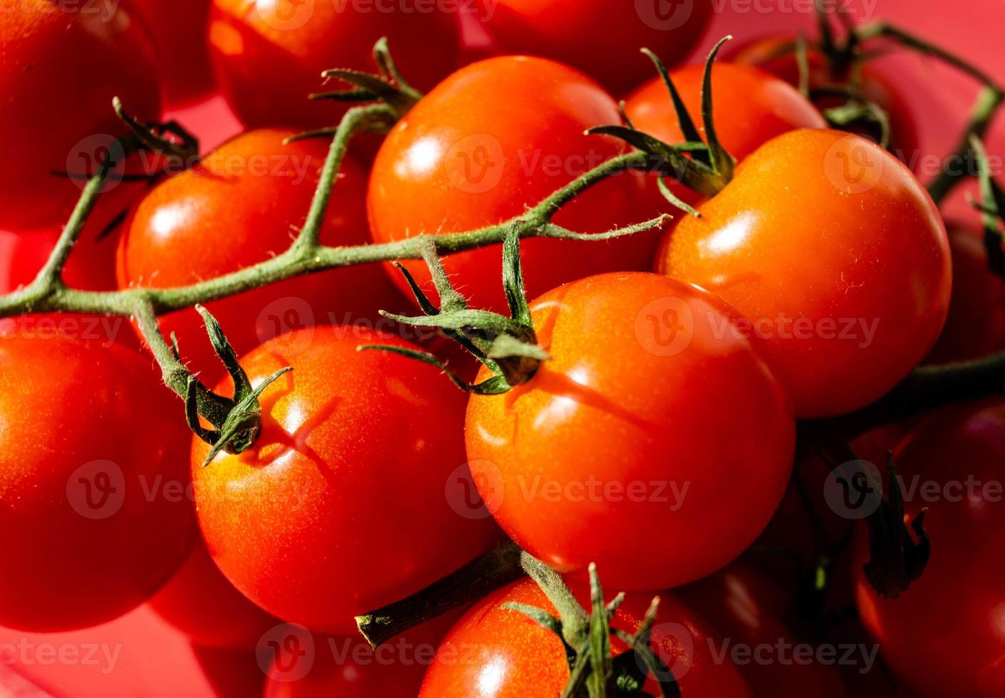 pomodori tondi rossi solanum lycopersicum foto