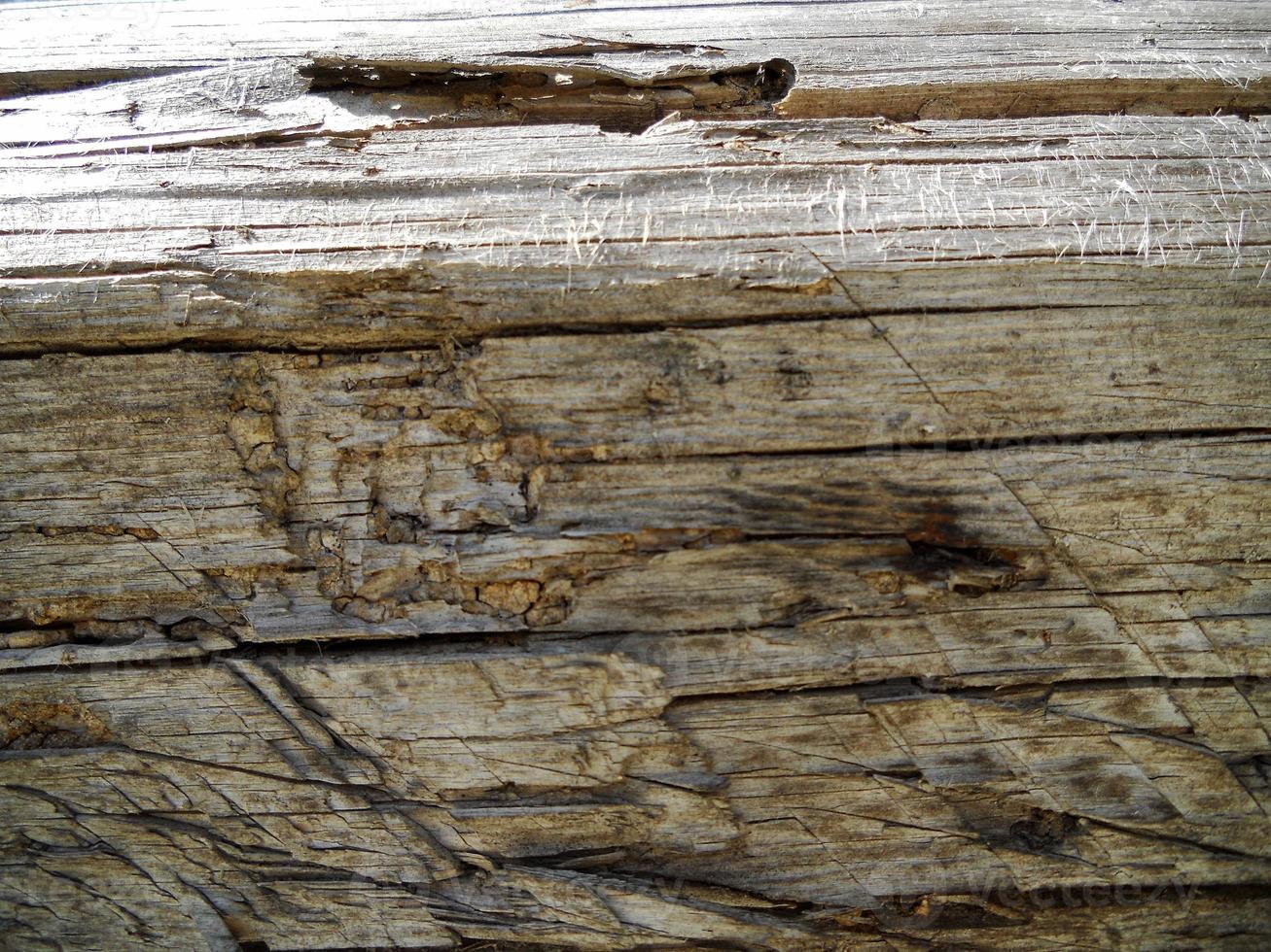 texture di sfondo legno marrone, frattura del primo piano foto