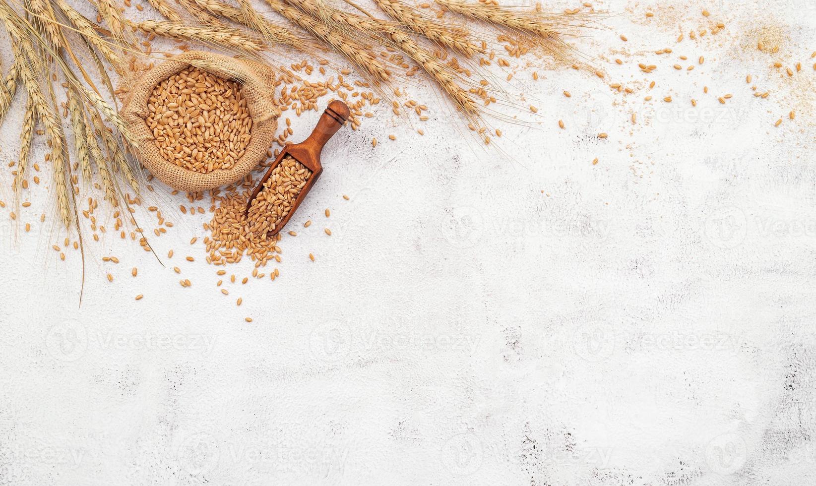 spighe di grano e chicchi di grano disposti su sfondo di cemento bianco foto