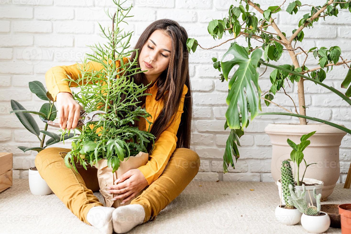 giardiniere donna che si prende cura delle sue piante da giardino di casa foto