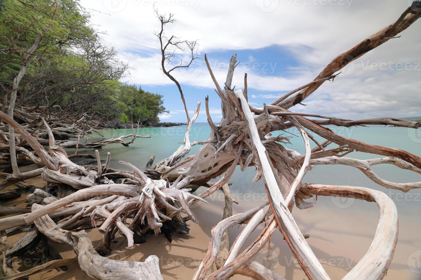 isola hawaii, spiaggia 67 legni e mare foto