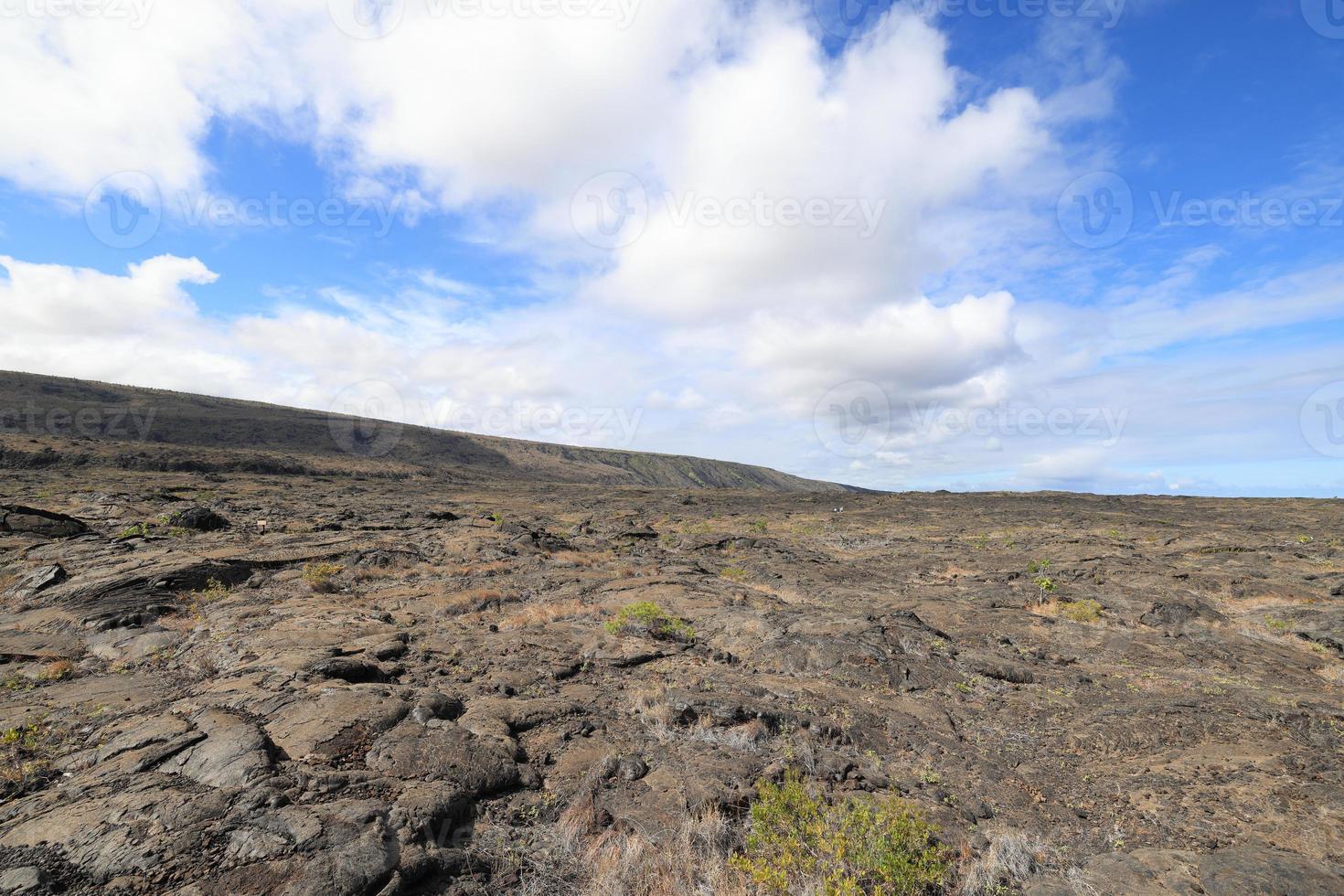 lava sulla catena dei crateri road, big island, hawaii foto