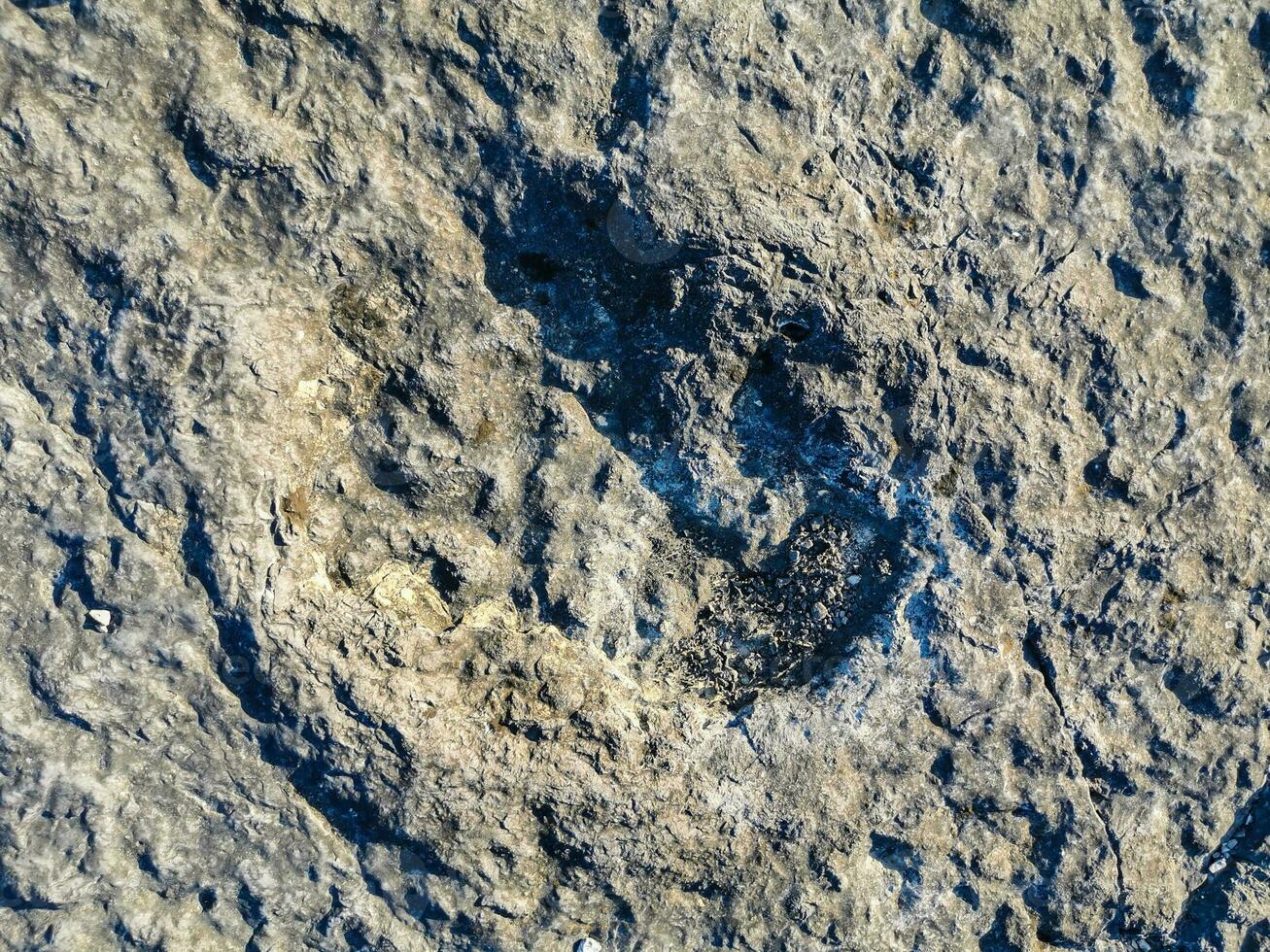 naturale monumento di fossile dinosauro impronte nel serra d 'aire nel pedreira fare Galinha, nel Portogallo. un' pedagogico circuito era creato a il luogo, dove visitatori può vedere e toccare il impronte foto